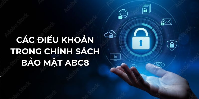 Các điều khoản trong chính sách bảo mật Abc8