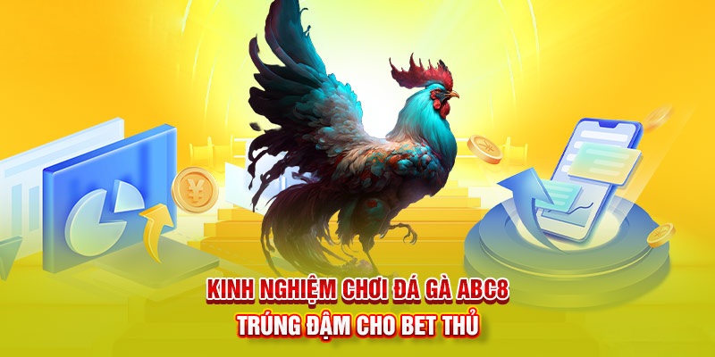 Kinh nghiệm tham gia cá cược đá gà ABC8