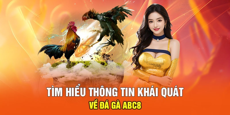 Thông tin sơ bộ về sảnh đá gà ABC8